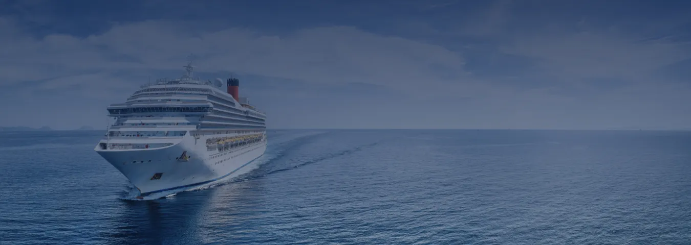 Het afgebeelde cruiseschip dient als voorbeeld waarvoor het luchtsmeersysteem geschikt kan zijn